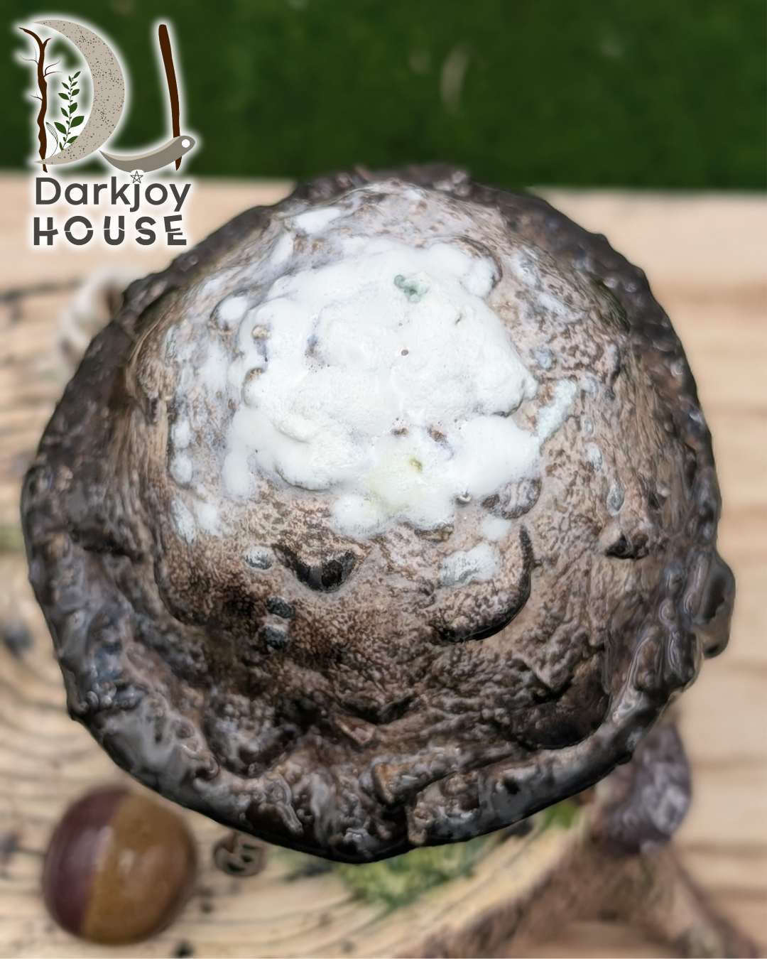 Inky Cap Mushroom Mini Altar- Enchanted Forest Collection
